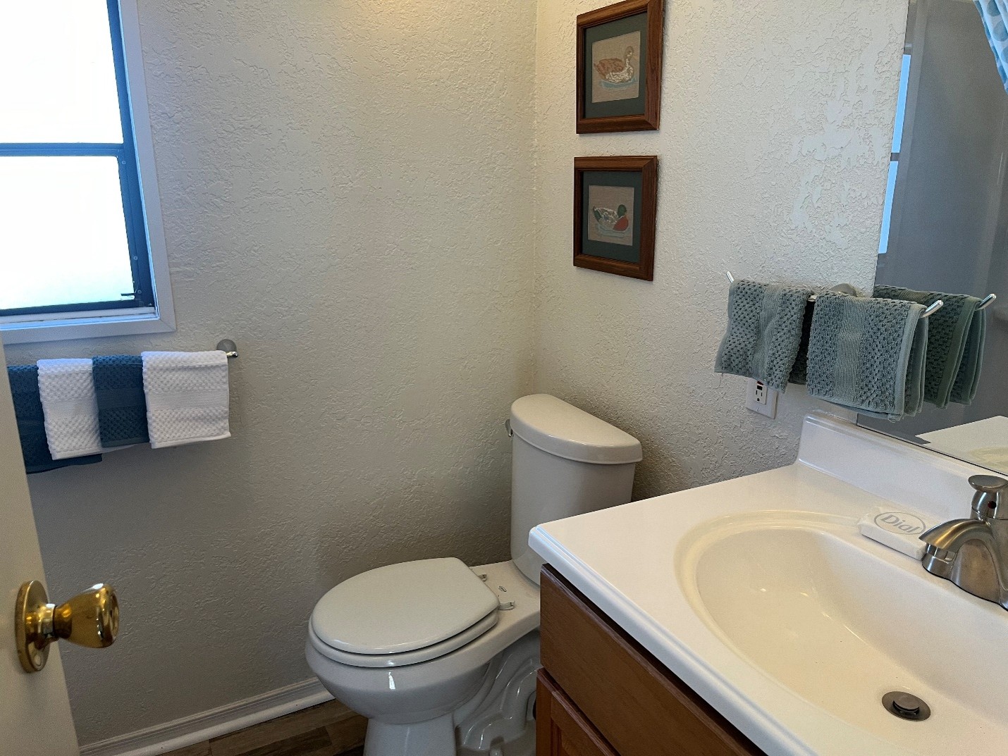 Picture10