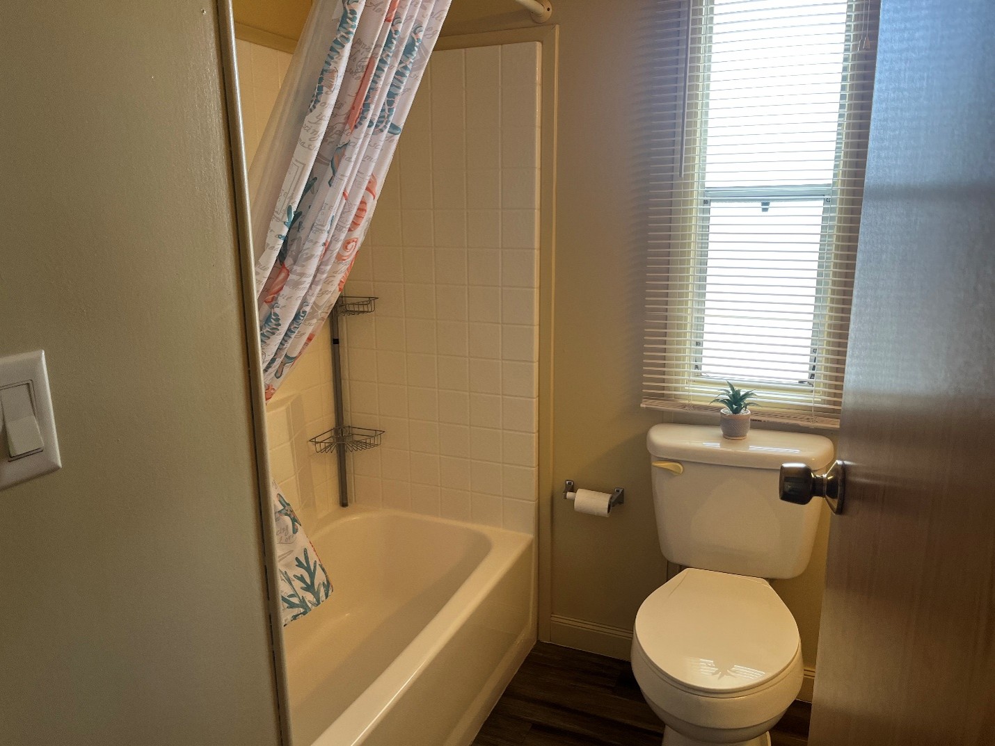 Picture11