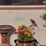LAS QUINTAS RV RESORT - manufactured homes in Yuma Arizona